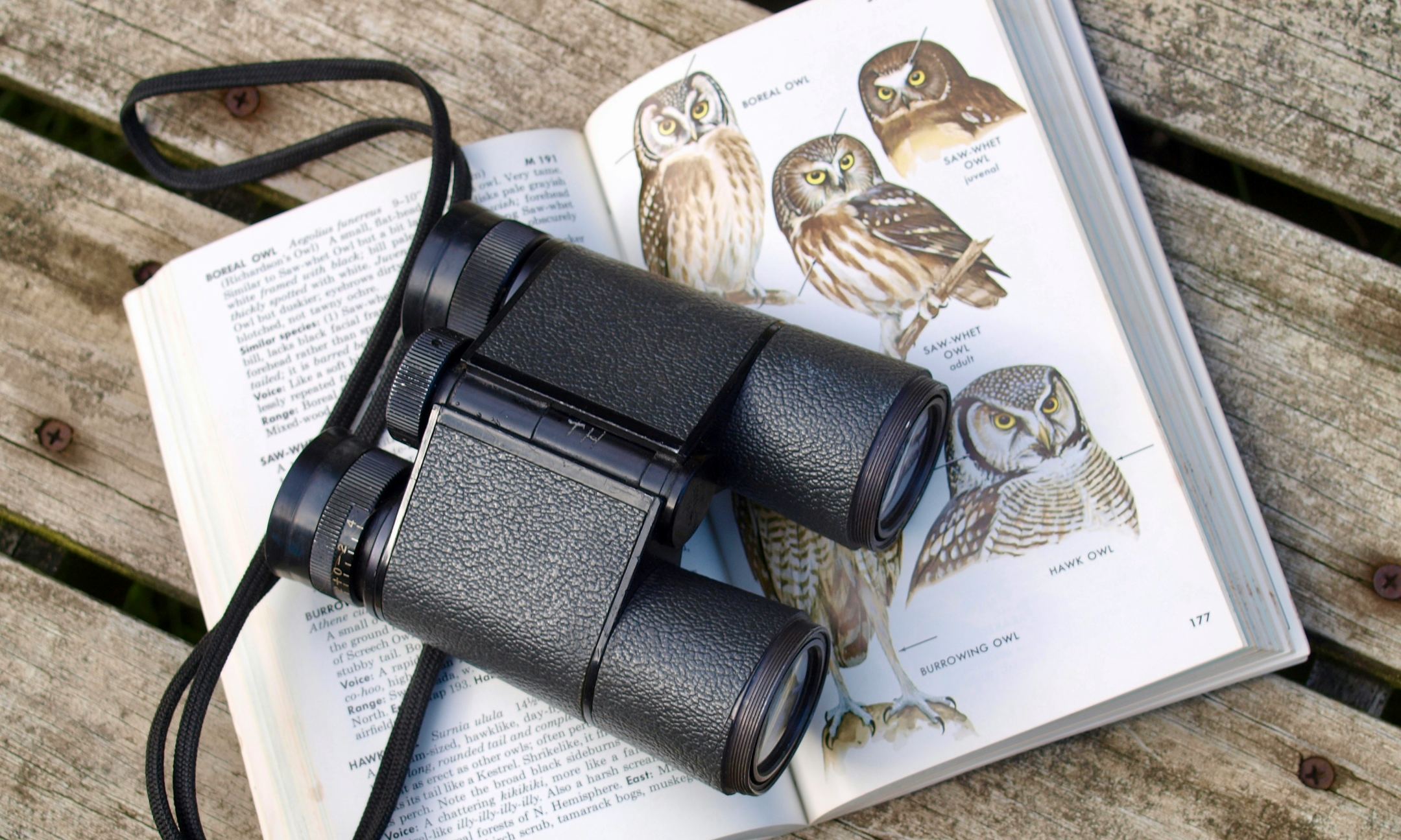 Binoculars resting on an open bird field guide showing owls, on a wooden garden bench